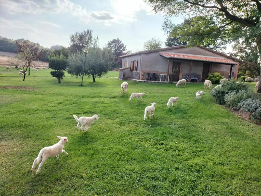 Fra Viaco Agriresort * Valentano
